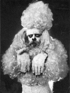 Of Passports and Performance Art – The Work of Kjartan Slettemark