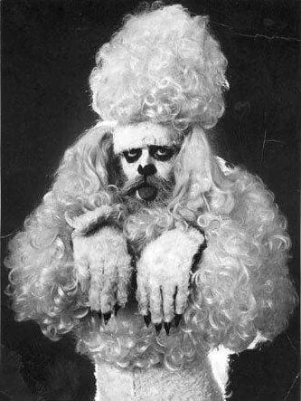 Of Passports and Performance Art – The Work of Kjartan Slettemark