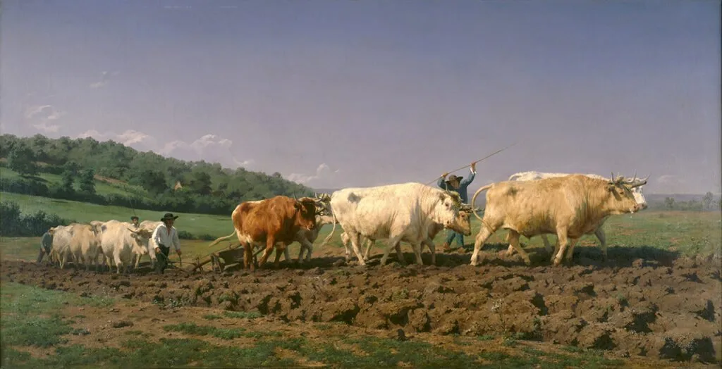 rosa bonheur ploughing in the nivernais